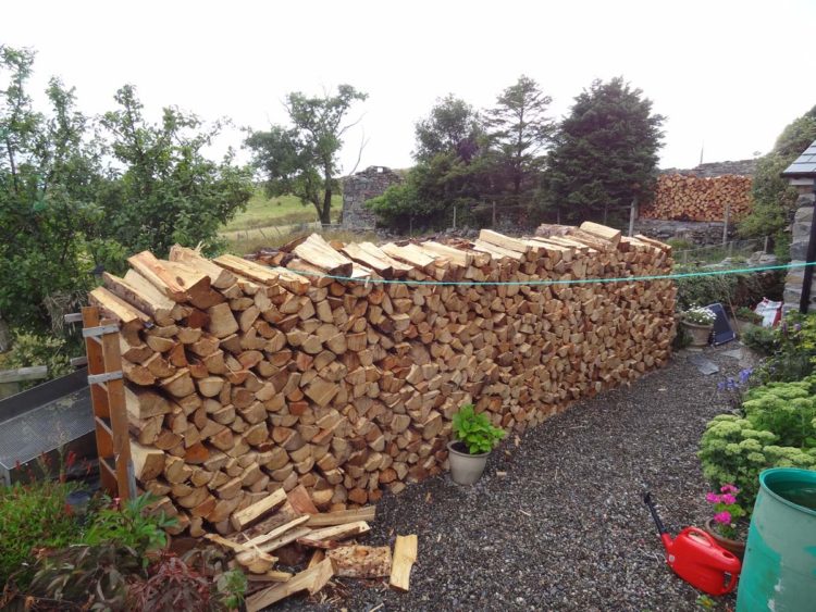 Kiln Dried Firewood - Image 4